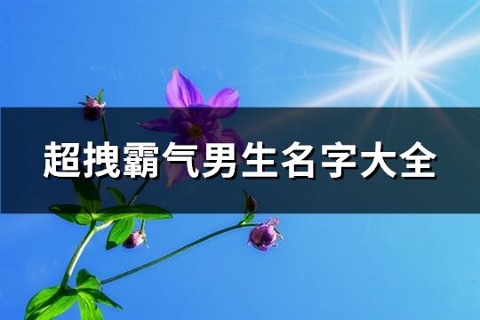 超拽霸氣男生名字大全(共270個(gè))