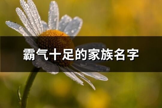 霸氣十足的家族名字(優選242個)
