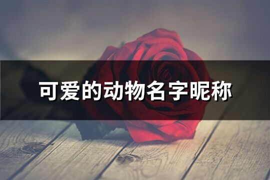 可愛的動物名字昵稱(精選395個)