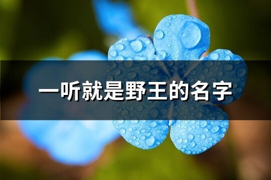 一聽(tīng)就是野王的名字(153個(gè))