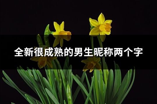 全新很成熟的男生昵稱兩個字(438個)