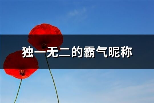 獨一無二的霸氣昵稱(344個)
