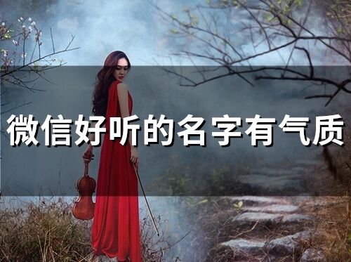 微信好聽的名字有氣質(zhì)(精選79個(gè))