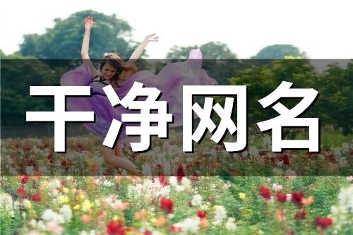 干凈網名(111個)