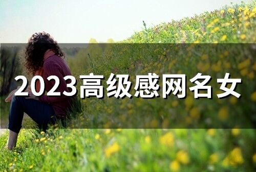 2023高級感網名女 2023獨特霸氣網名