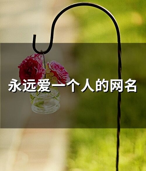 永遠愛一個人的網名(精選68個)