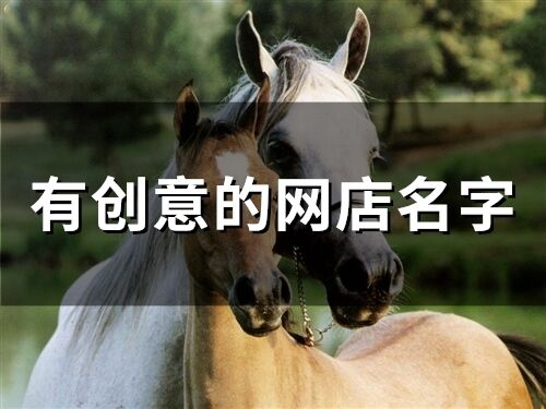 有創(chuàng)意的網(wǎng)店名字(65個(gè))