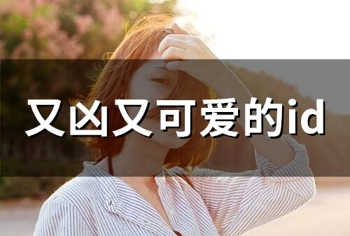 又兇又可愛的id(299個)