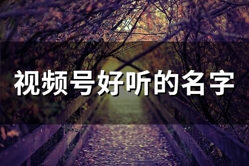 視頻號好聽的名字(74個)