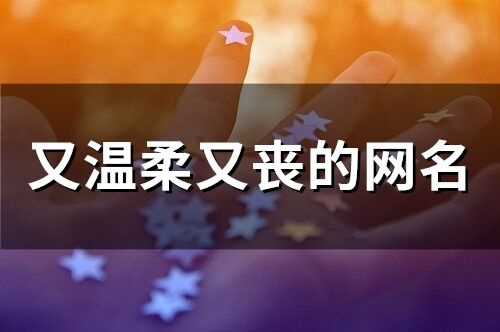 又溫柔又喪的網(wǎng)名(精選67個(gè))