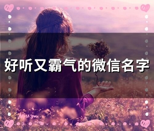 好聽又霸氣的微信名字(精選64個)