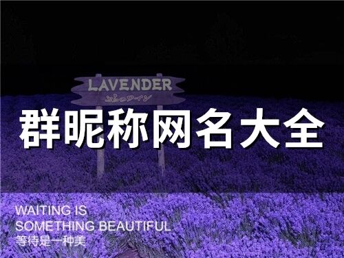 群昵稱網名大全(65個)