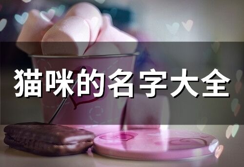 貓咪的名字大全(精選76個(gè))