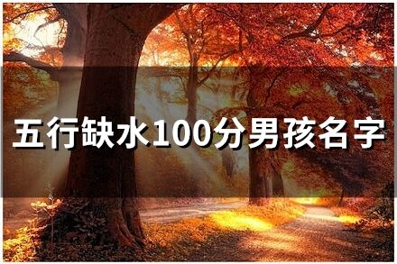 五行缺水100分男孩名字(28個)