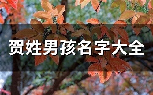賀姓男孩名字大全(精選50個)