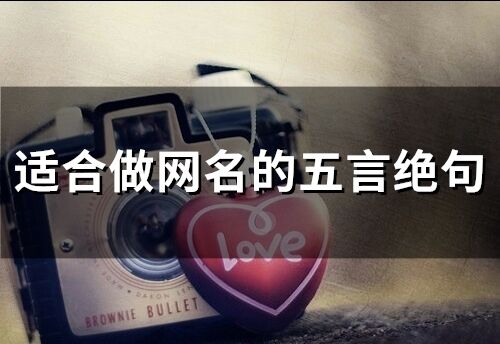 適合做網(wǎng)名的五言絕句(精選98個(gè))