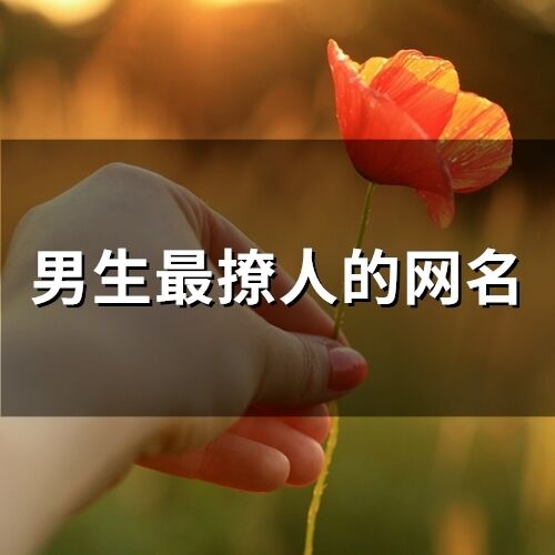 男生最撩人的網(wǎng)名(72個)