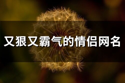 又狠又霸氣的情侶網名(156個)