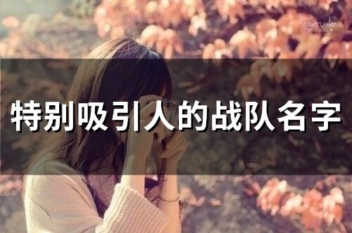 特別吸引人的戰隊名字(148個)