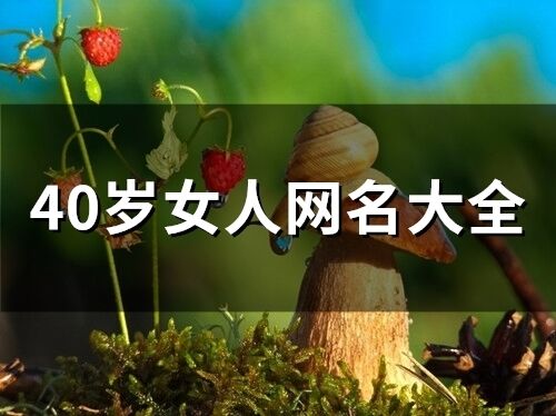 40歲女人網(wǎng)名大全(398個)