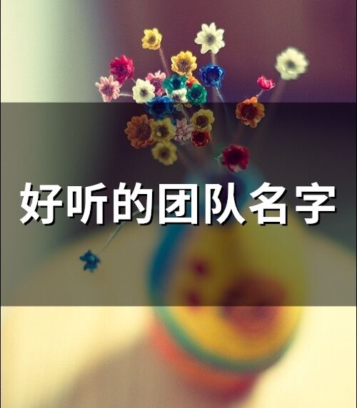 好聽的團隊名字(精選79個)