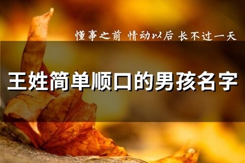 王姓簡單順口的男孩名字(286個)