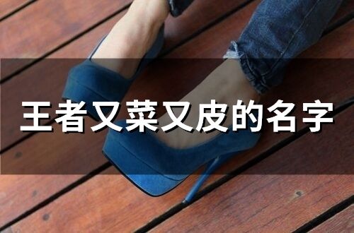 王者又菜又皮的名字(精選73個(gè))
