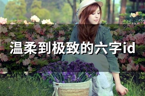 溫柔到極致的六字id(精選69個)