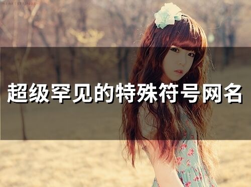 超級罕見的特殊符號網(wǎng)名(精選71個)