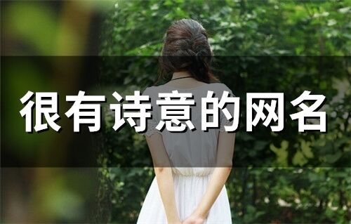 很有詩意的網名(精選77個)