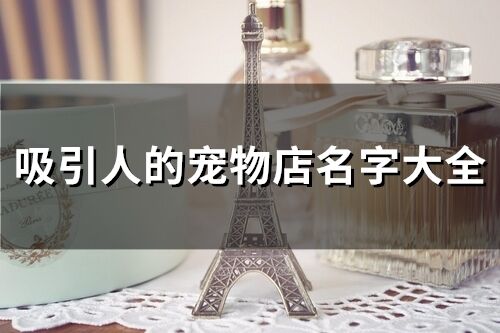 吸引人的寵物店名字大全(精選78個(gè))