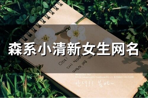 森系小清新女生網名(68個)