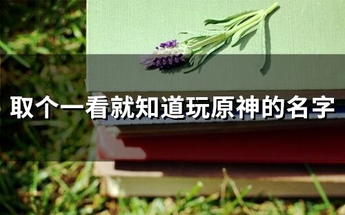 取個一看就知道玩原神的名字(精選72個)