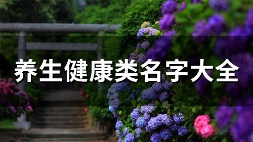 養生健康類名字大全(67個)