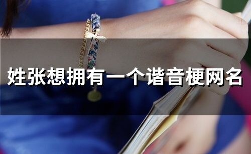 姓張想擁有一個諧音梗網名(61個)