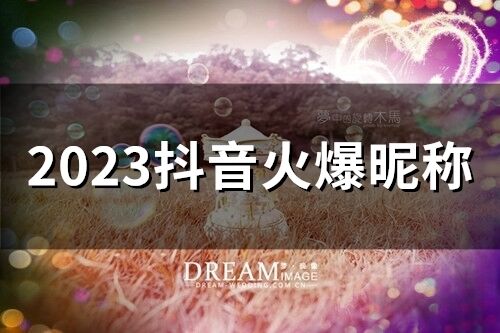 2023抖音火爆昵稱(66個)