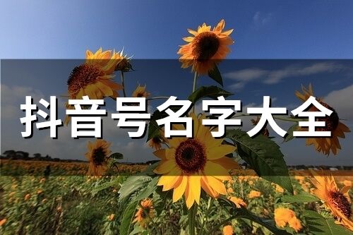 抖音號名字大全(精選292個)