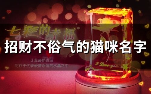 招財不俗氣的貓咪名字(276個)