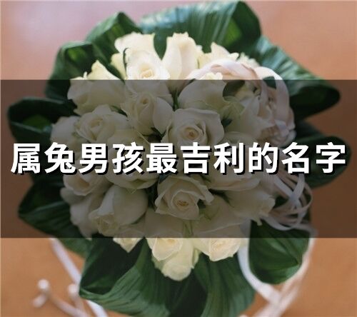 屬兔男孩最吉利的名字(精選153個(gè))