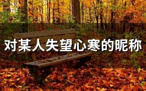 對某人失望心寒的昵稱(179個)
