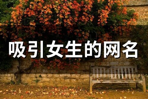 吸引女生的網(wǎng)名(精選199個)