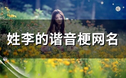 姓李的諧音梗網(wǎng)名(125個)