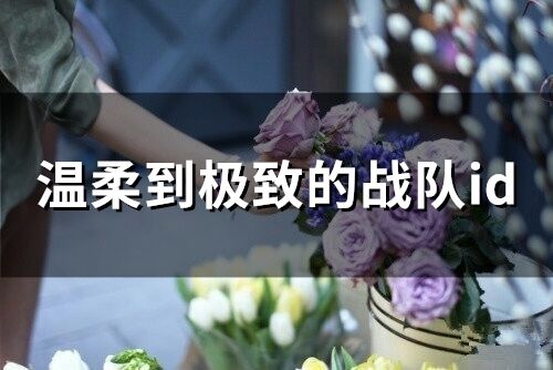 溫柔到極致的戰隊id(精選161個)