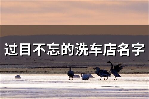 過目不忘的洗車店名字(精選208個)