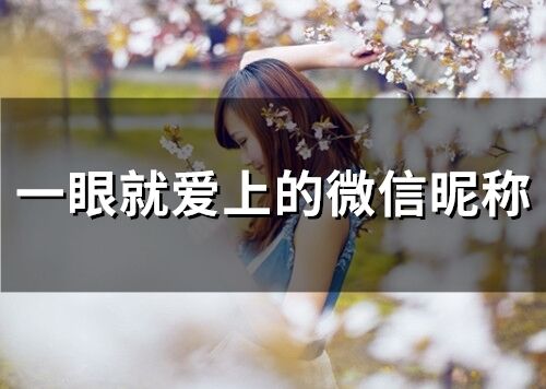 一眼就愛上的微信昵稱(精選291個)