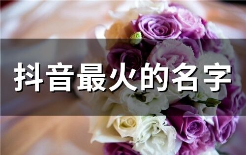 抖音最火的名字(精選260個)