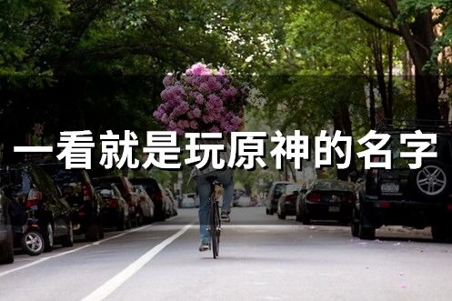 一看就是玩原神的名字(精選99個)