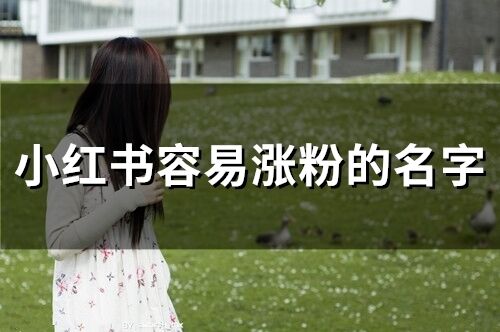 小紅書容易漲粉的名字(精選208個)