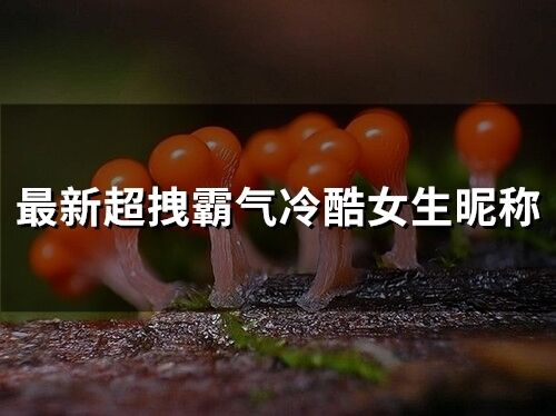 最新超拽霸氣冷酷女生昵稱(精選211個)