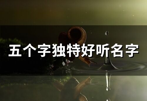 五個字獨特好聽名字(357個)
